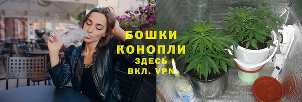 spice Верхний Тагил