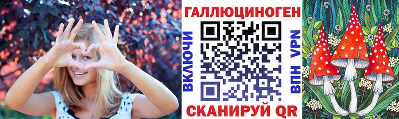 ссылка на мегу как зайти  купить   Дербент  Псилоцибиновые грибы Psilocybe 